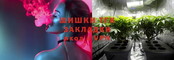 дживик Ладушкин