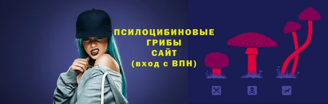 mdma Лагань