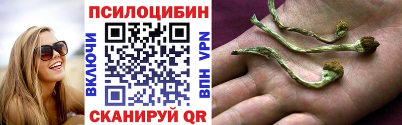 Галлюциногенные грибы мухоморы  Купить закладки  Кировск 