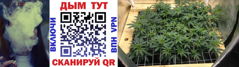Каннабис индика  Купить закладки  Кировск 
